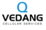 vedang vedang